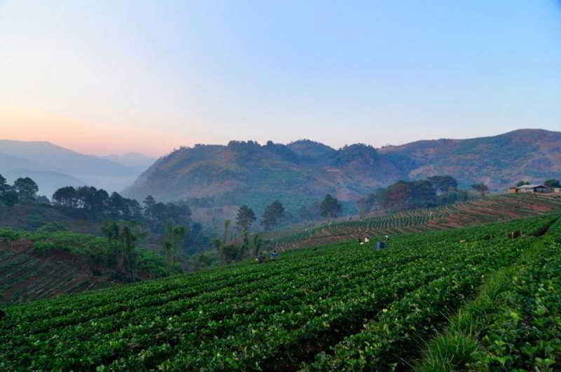 Angkhang Nature Resort Fang Buitenkant foto