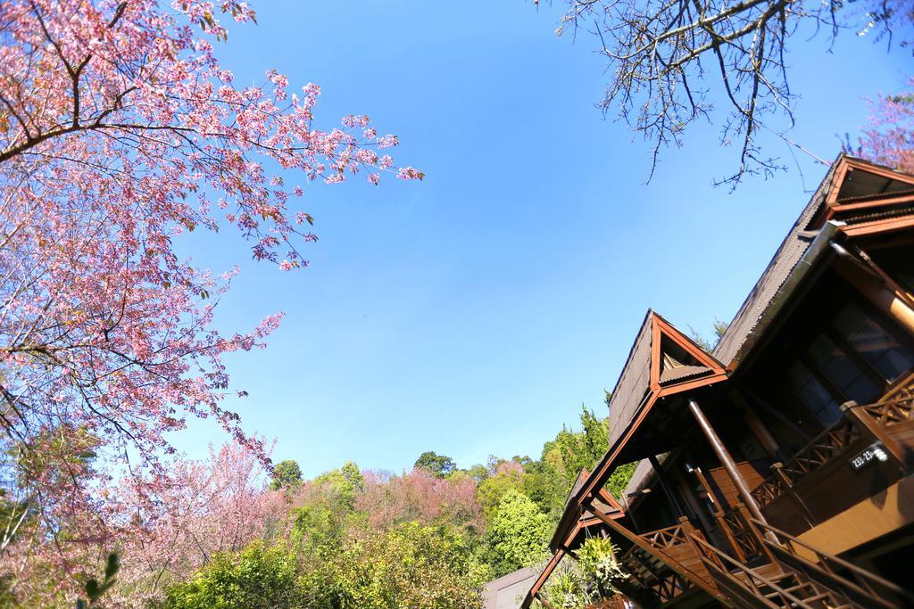 Angkhang Nature Resort Fang Buitenkant foto