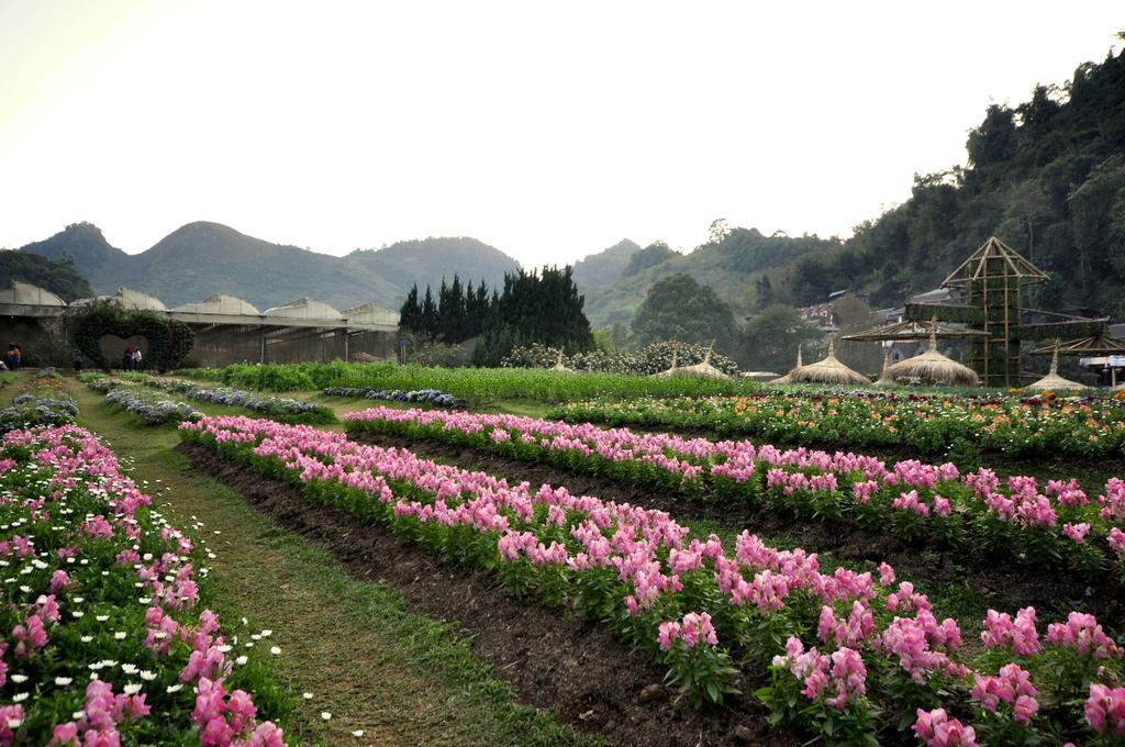 Angkhang Nature Resort Fang Buitenkant foto